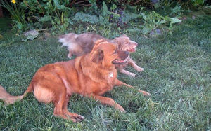 Meet your Posher, Tracy